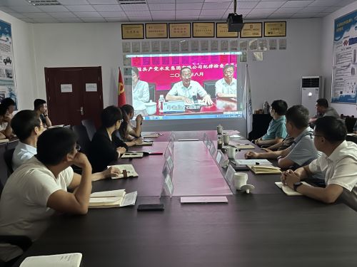 【河海水文】水發(fā)水控集團黨委委員、紀委書記王高升到河海公司全面從嚴治黨、黨風廉政建設專題調研 (1).jpg